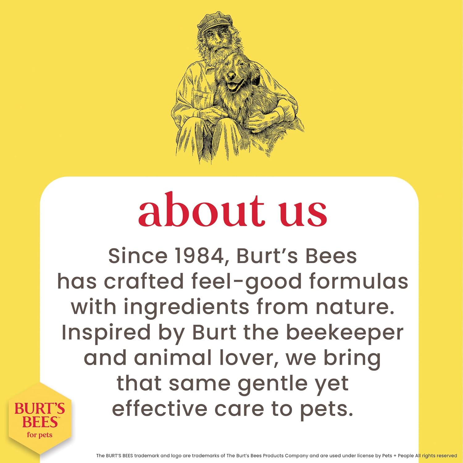 Waterless Shampoo Spray for Dogs, Apple & Honey, No-Rinse Dry Dog Shampoo for All Dogs and Puppies, Ph Balanced, No Sulfates, Parabens, Phthalates, 10 Fl Oz